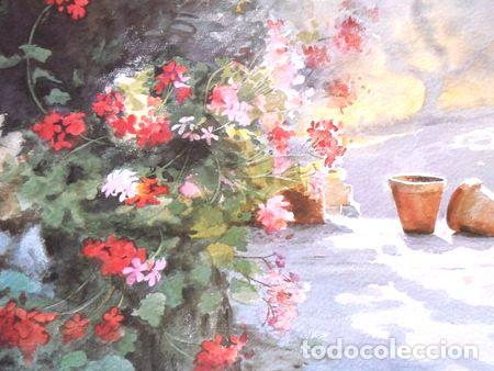 Medallas tem&aacute;ticas: reproducciones de acuarelas jardines 50x70cm