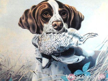 Medalhas tem&aacute;ticas: reproduccion italiana perro cazador the quail fait 50x70