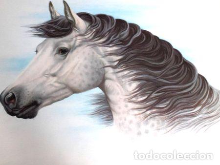 Medalhas tem&aacute;ticas: laminas cabeza de caballo blanco 40x30 cm