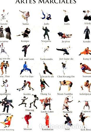 Medalhas tem&aacute;ticas: poster disciplinas en artes marciales 42x30 cm nuevos