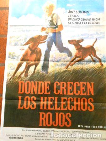 M&eacute;dailles th&eacute;matiques: afiche de cine donde crecen los helechos rojos cod219