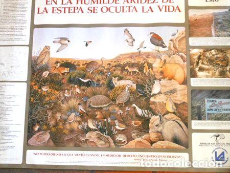 M&eacute;dailles th&eacute;matiques: lamina estepa patagonica medidas 98x69cm