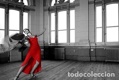 M&eacute;dailles th&eacute;matiques: red dress the joy of dancing alegria de bailar poster