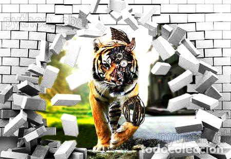 Medalhas tem&aacute;ticas: posters tigre de diseno 120x85 nuevos 10 modelos
