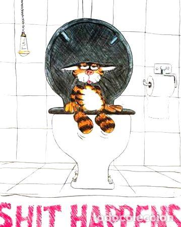 Thematische Medaillen: poster de humor alex shit happens 40 x 50 cm