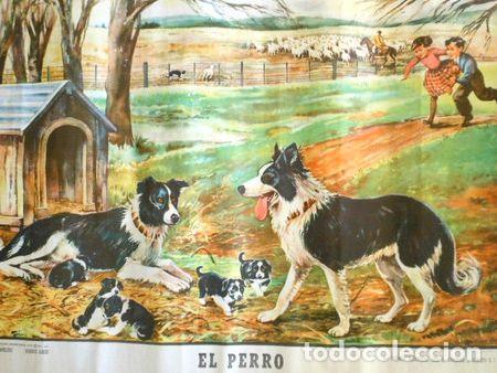 M&eacute;dailles th&eacute;matiques: afiche el perro ano 1951 medidas 59x78cm