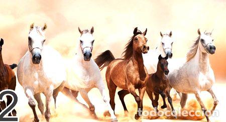Medaglie tematiche: poster caballos corriendo murales paisajes vinilos 130x70mts