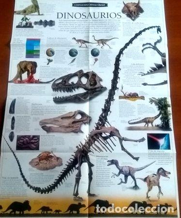 Medallas tem&aacute;ticas: lamina educativa de dinosaurios - Foto 1