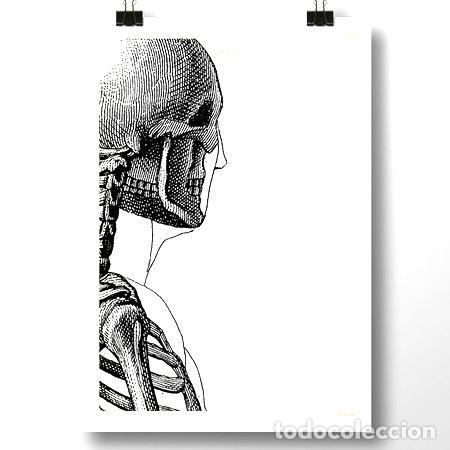 Medallas tem&aacute;ticas: anatomia humana iv bis lamina poster vintage decoracion