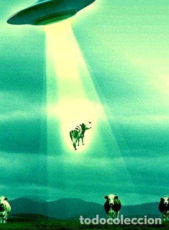 Medallas tem&aacute;ticas: lamina foto deco hogar posters fotografia a4 papel ovnie