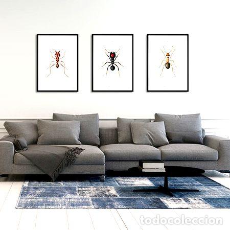 Medalhas tem&aacute;ticas: hormigas i ii iii laminas poster vintage antiguo decoracion