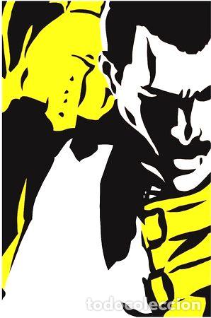 M&eacute;dailles th&eacute;matiques: poster freddie mercuryqueen proporcion 30x44 solo lamina