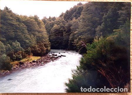 Medalhas tem&aacute;ticas: lamina natural de paisaje tamano postal