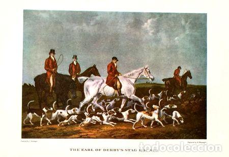 Medaglie tematiche: lamina grabado the earl of derbys stag hounds 46 x 325 cm
