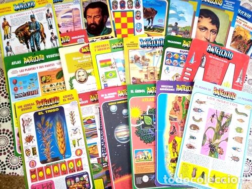 Medaglie tematiche: posters educativos anteojito lote de 22 poster carton