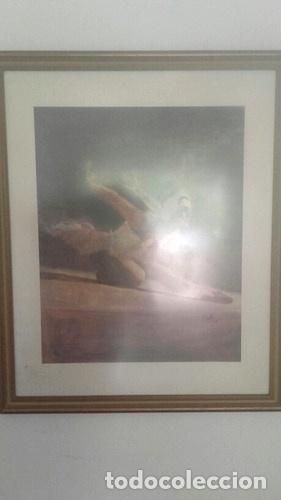 Medaglie tematiche: 2 laminas enmarcadas a freire 1993 y 1995 52cm x 63 cm