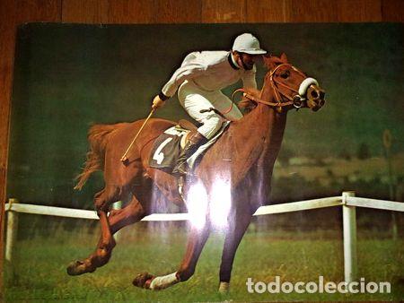 Medaglie tematiche: caballo de carrera poster italiano