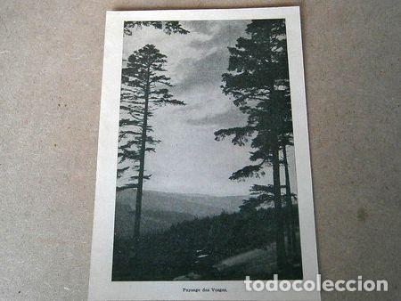 Medallas tem&aacute;ticas: lamina paysage des vosges 1955