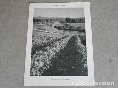 Thematische Medaillen: lamina la douce france un vignoble en champagne 1955
