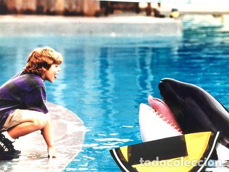 Medalhas tem&aacute;ticas: lobicard n 1 liberen a willy michael madsen 1993 original