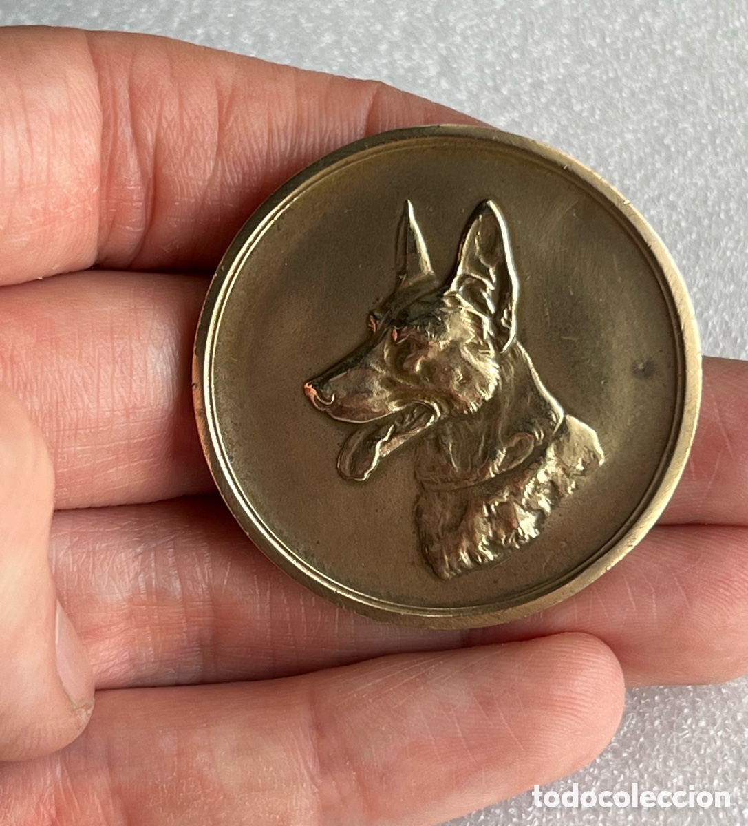 Medallas tem&aacute;ticas: Medalla perro Pastor Belga - Foto 2