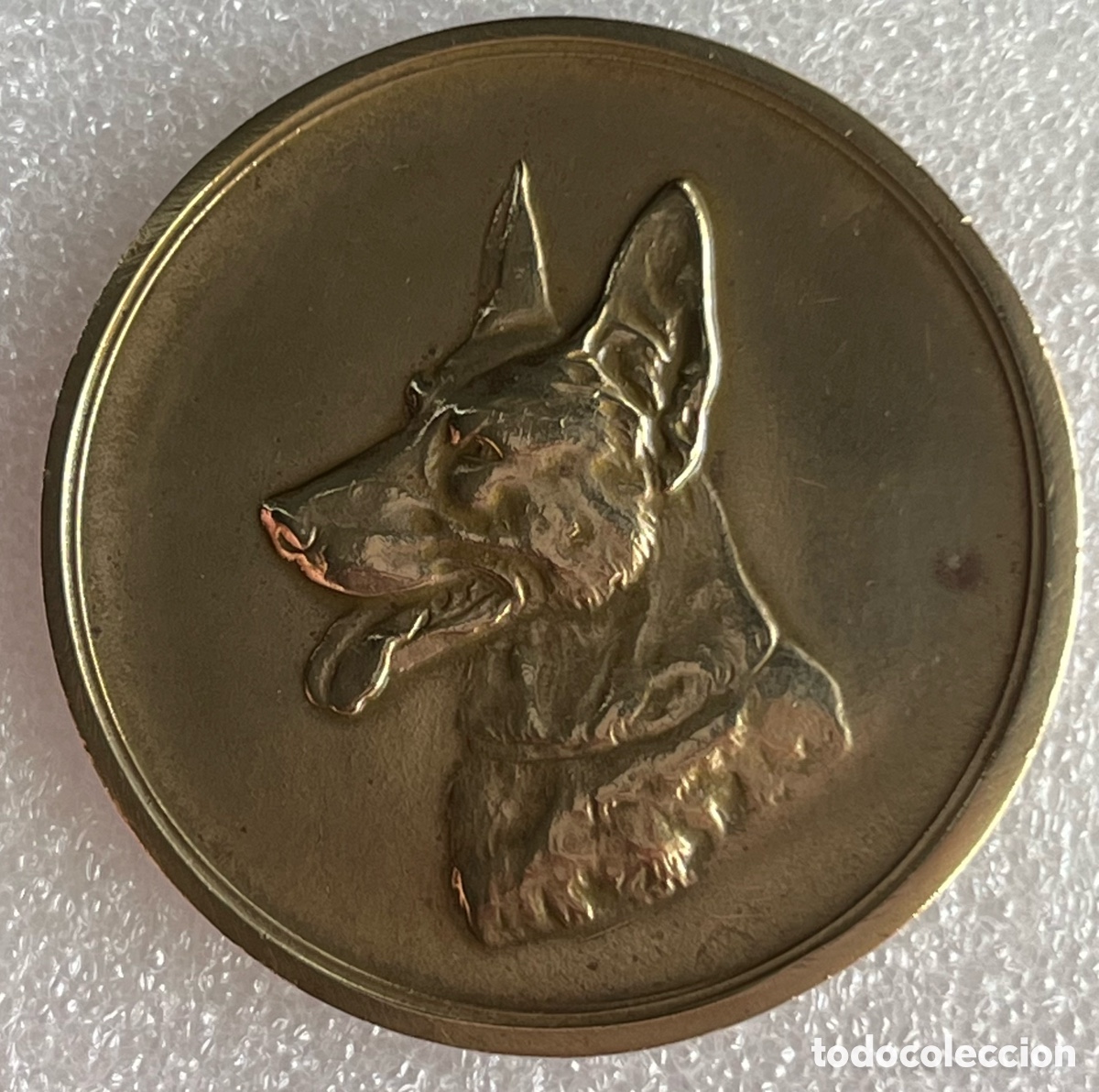 Medallas tem&aacute;ticas: Medalla perro Pastor Belga - Foto 1