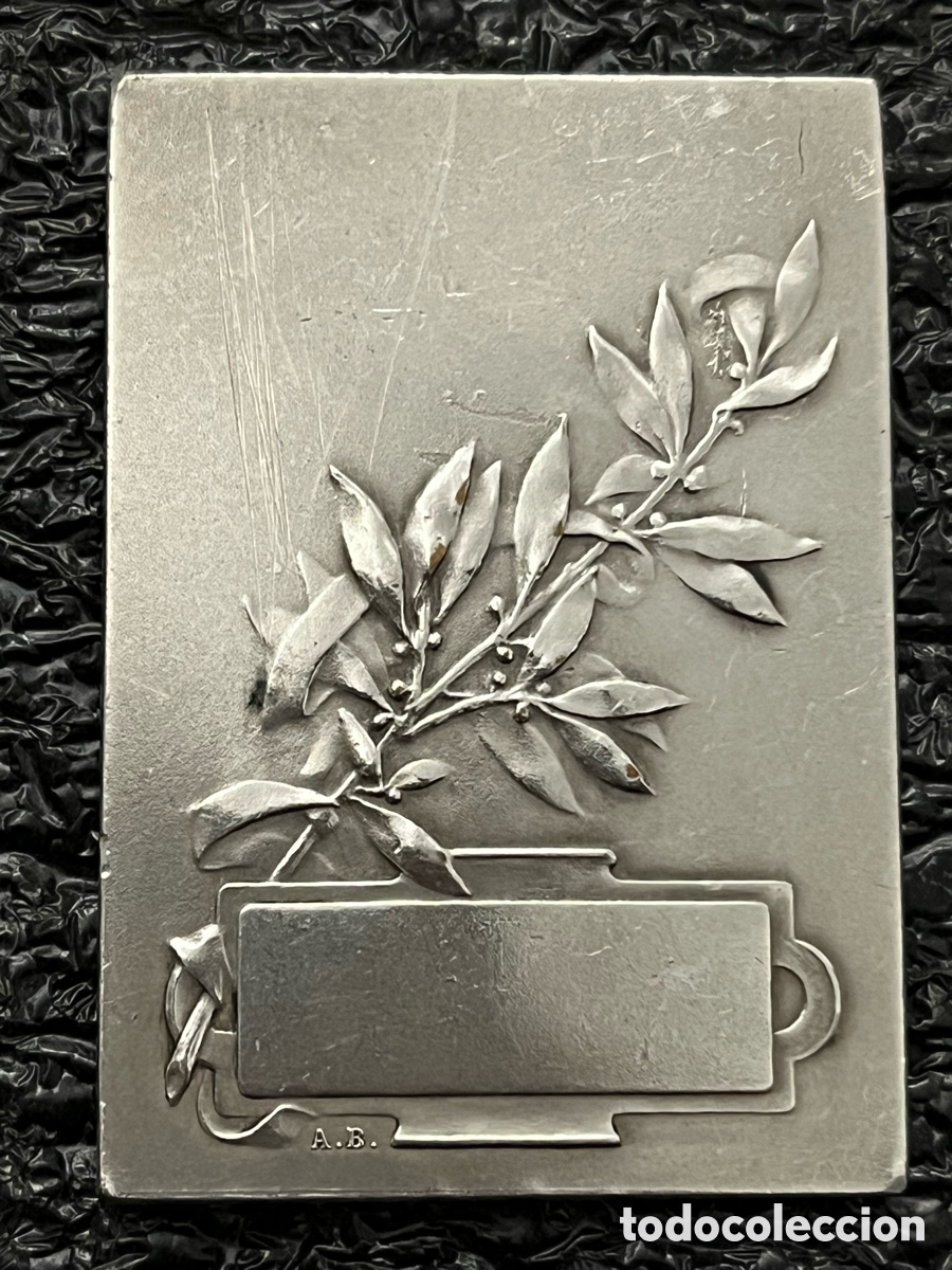 Medallas tem&aacute;ticas: Medalla de bronce rectangular - Esgrima - Foto 2
