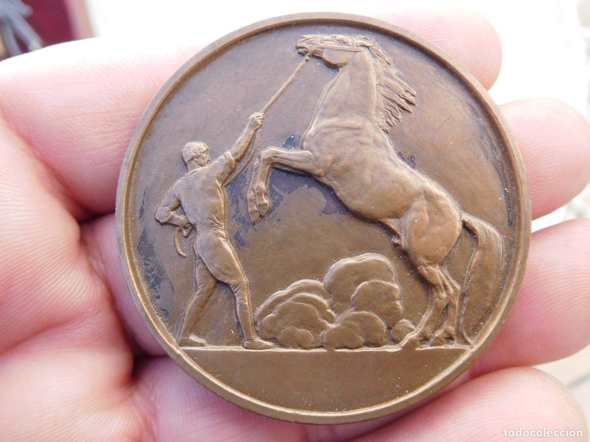 Medallas tem&aacute;ticas: Medalla de bronce antigua caballo - Foto 1