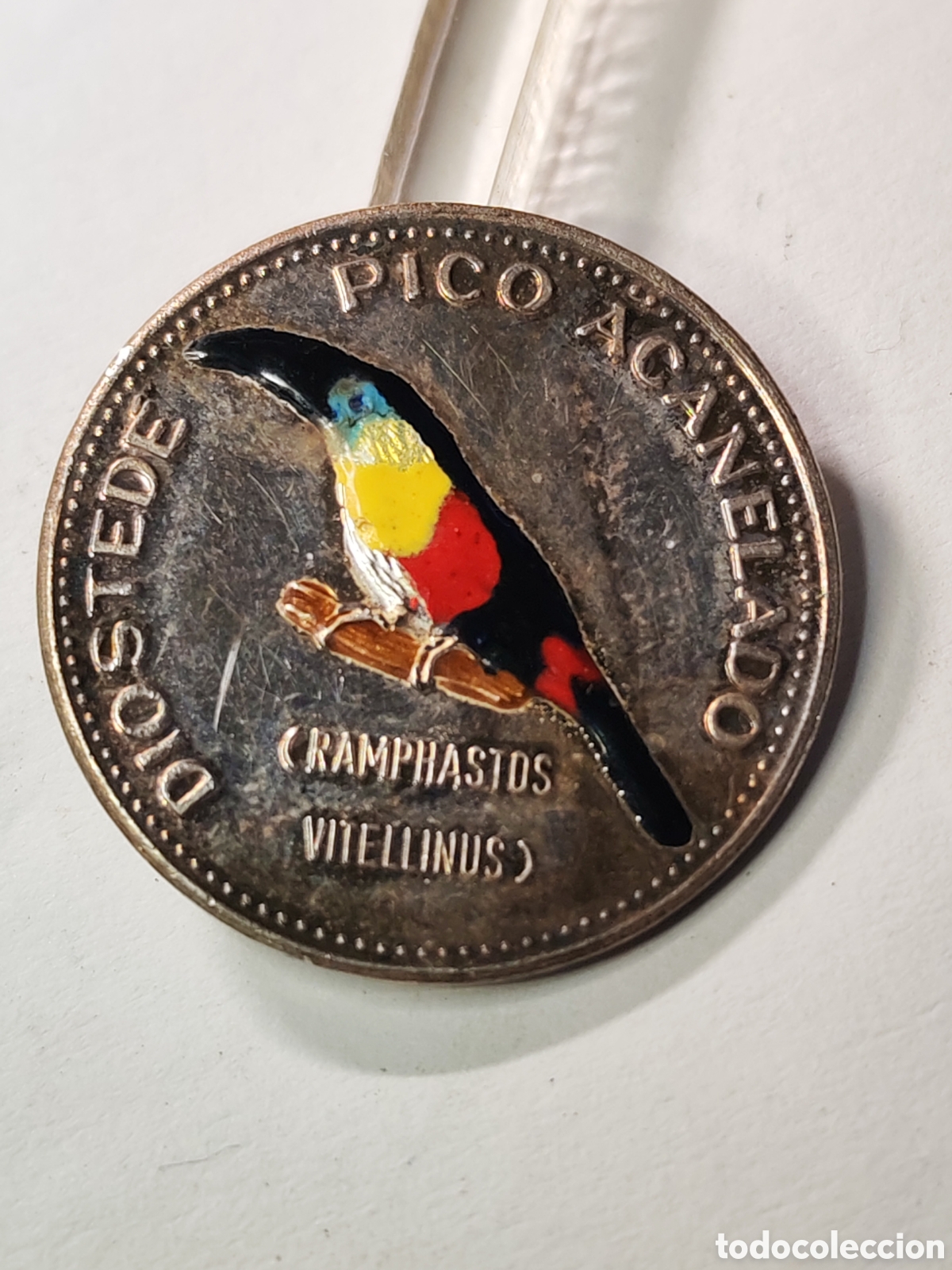 Medallas tem&aacute;ticas: Pajaros de Venezuela .Diosted&eacute; Pico acanelado. En color . Acu&ntilde;ado en Caracas 1979 . Plata 1000 ley .