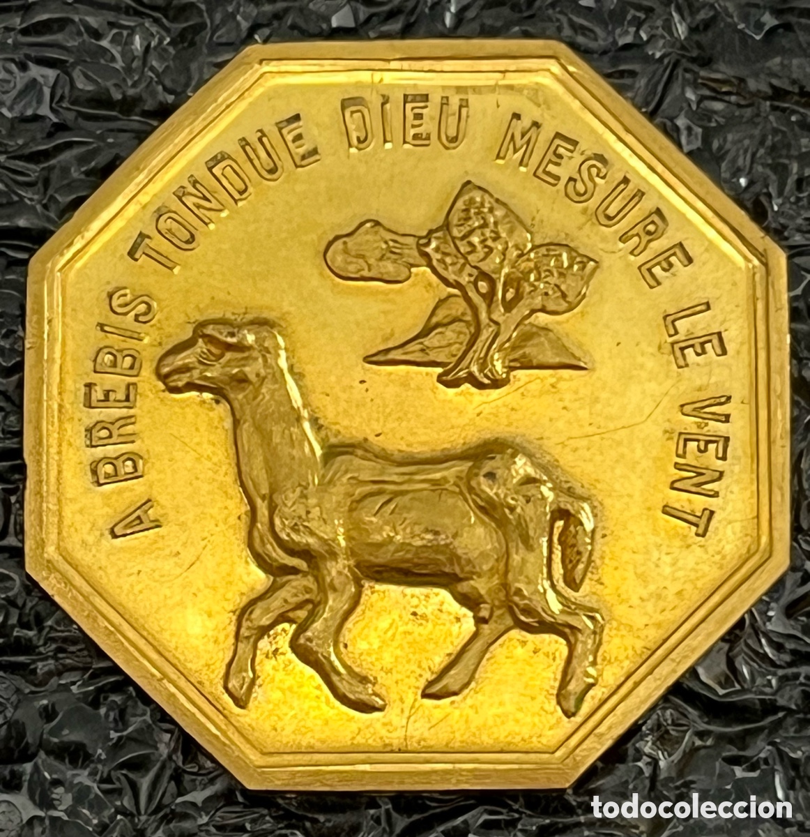 Medallas tem&aacute;ticas: Medalla de bronce octagonal - A brevis tondue dieu mesure le vent
