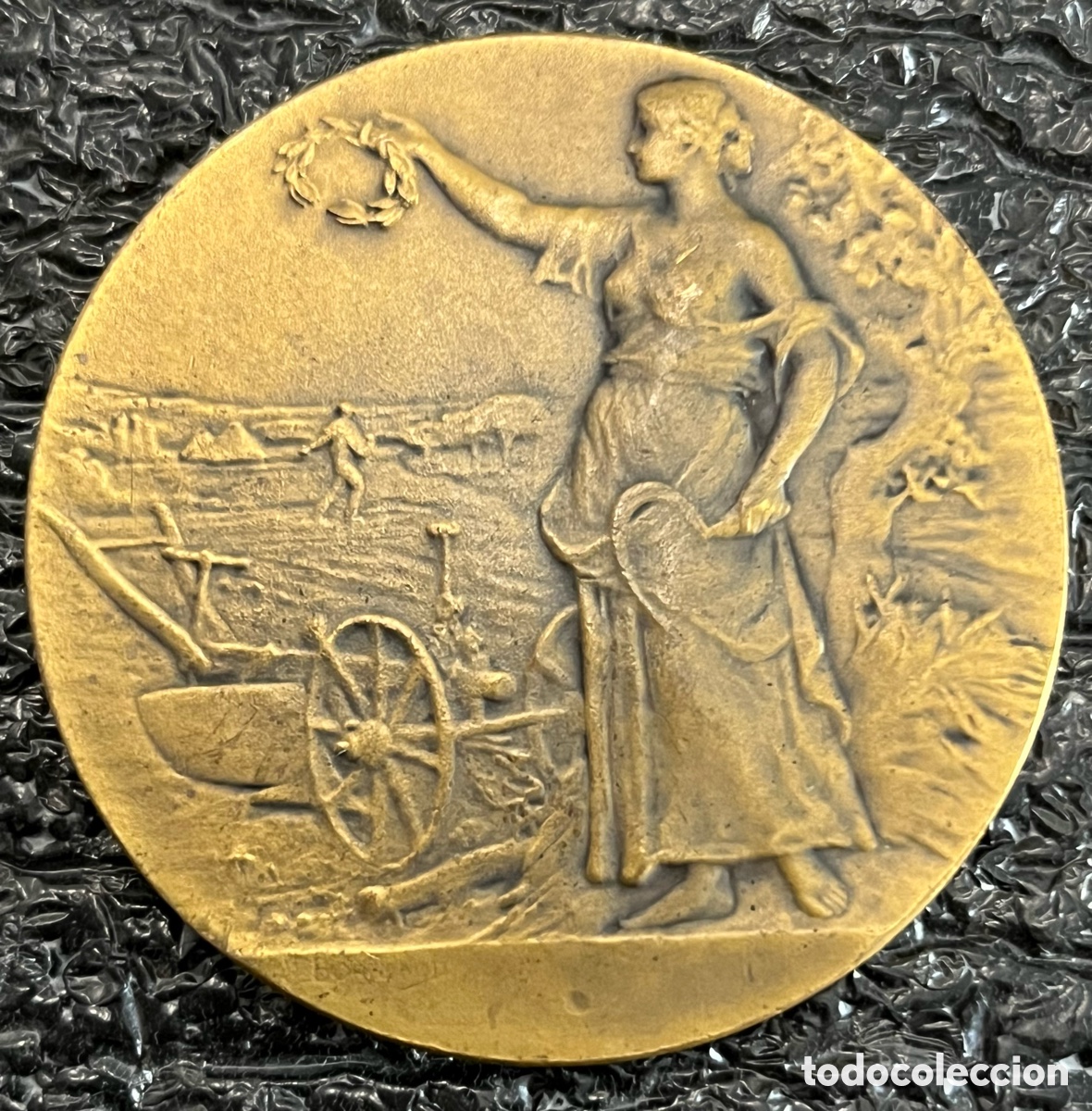 Medallas tem&aacute;ticas: Medalla de Bronce Firmada Louis Octave Mattei