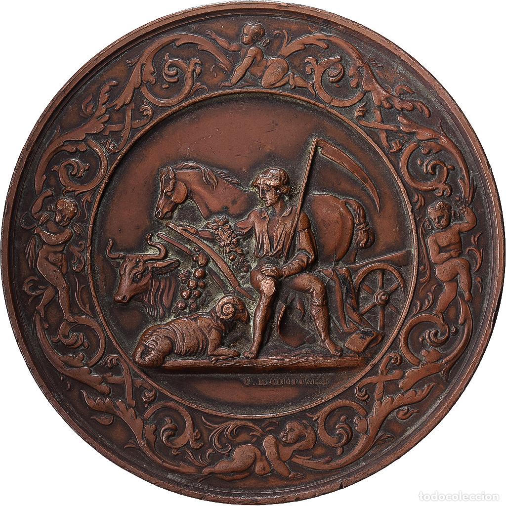 Medallas tem&aacute;ticas: [#1529140] Austria, medalla, Cinquantenaire de la Soci&eacute;t&eacute; d'Agriculture Imp&eacute;riale