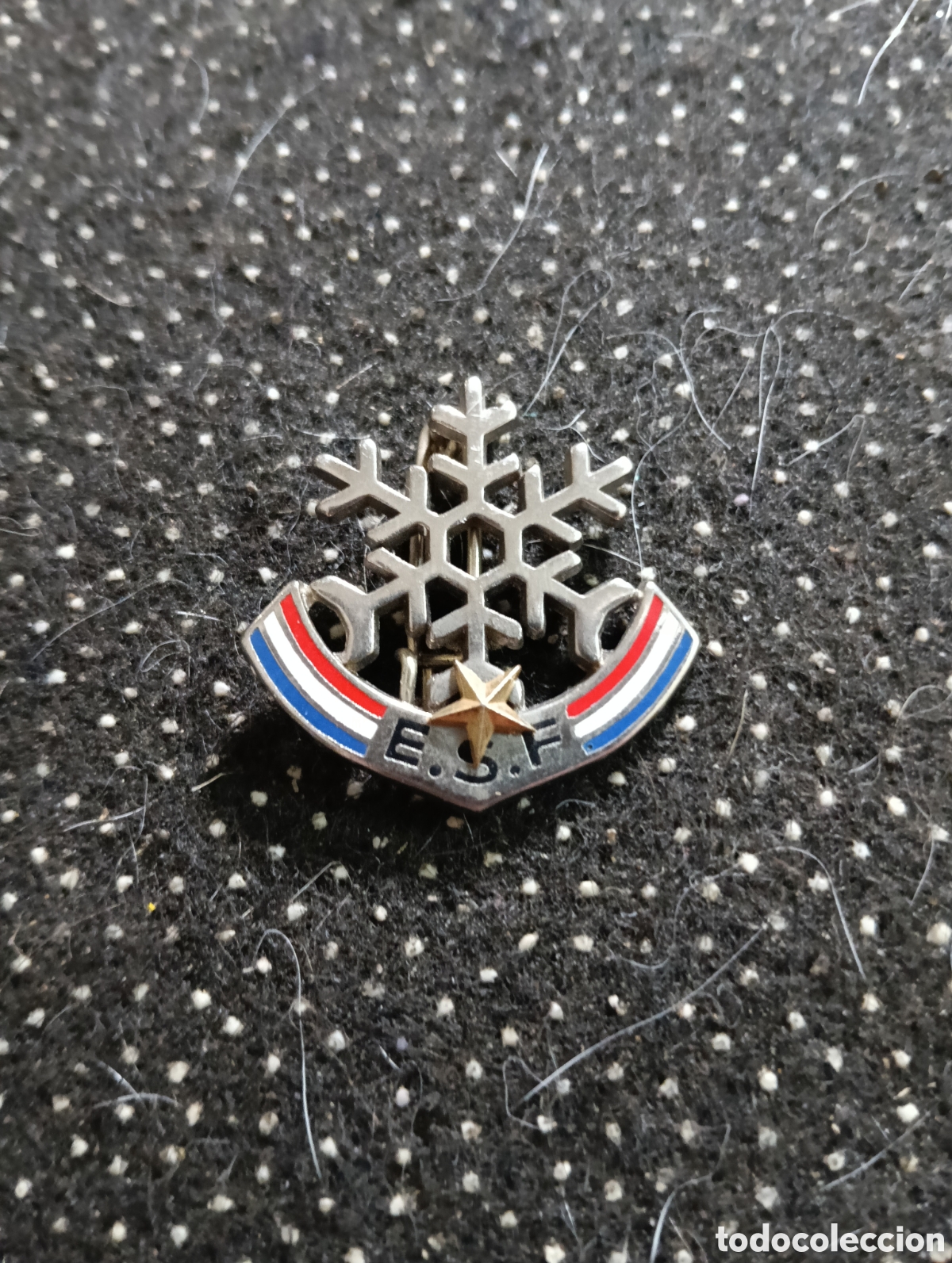 Medallas tem&aacute;ticas: PRECIOSA INSIGNIA DE AGUJA ESCUELA SKI FRANCESA