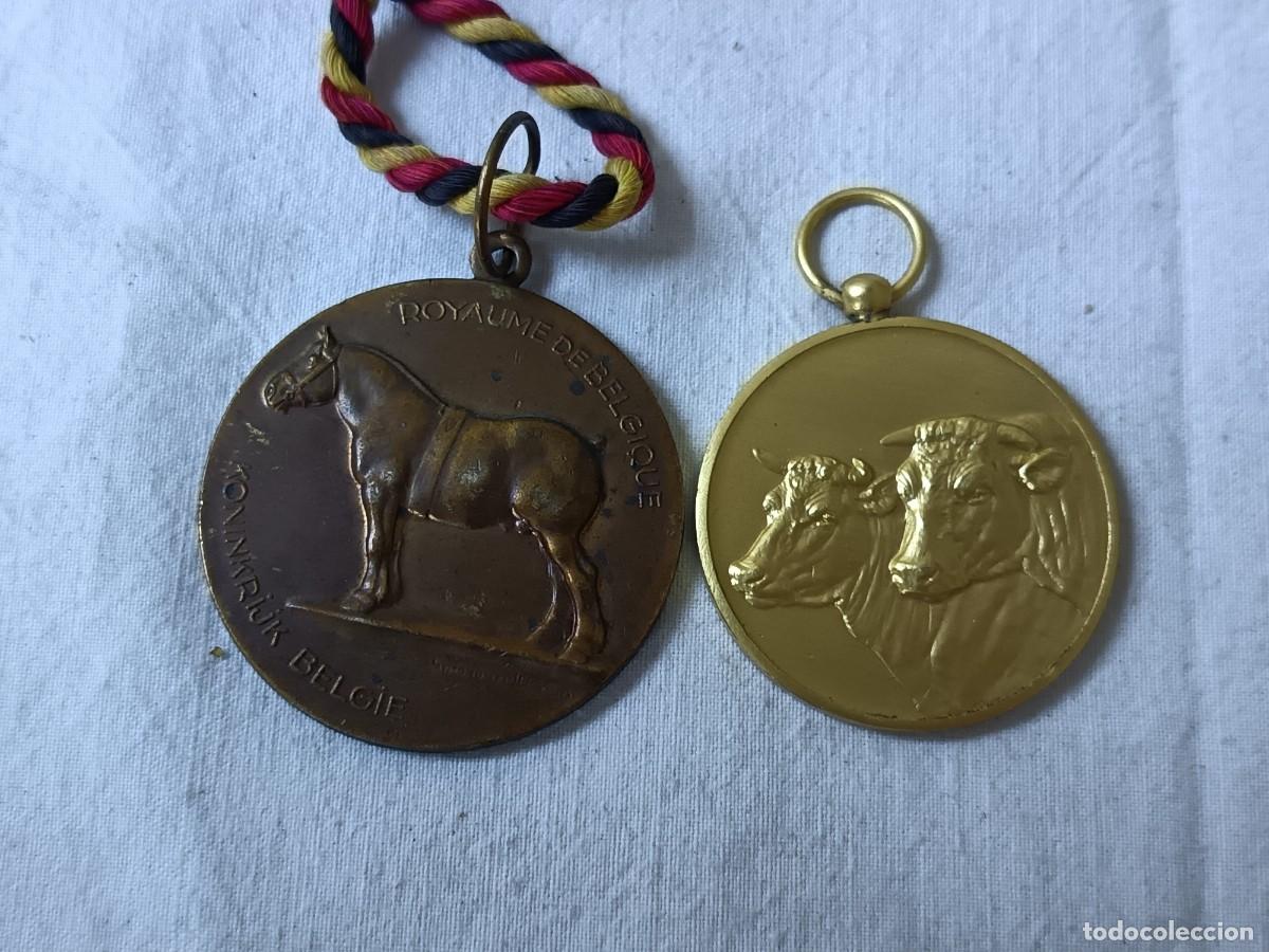 Thematic medals: Lote de 2 antiguas medallas, de ganader&iacute;a o agricultura, a identificar