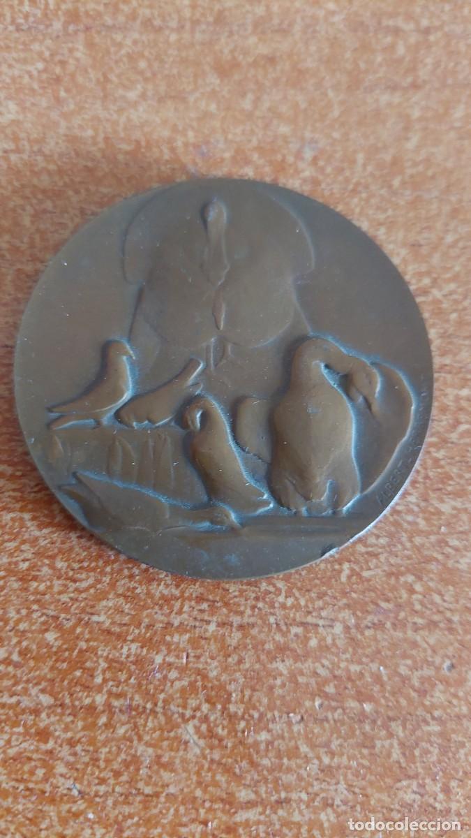Medallas tem&aacute;ticas: Antigua medalla Senador