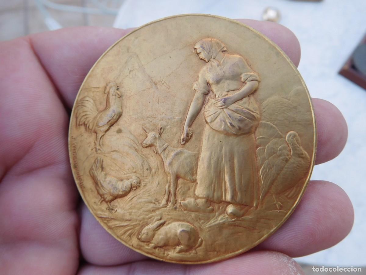 Medallas tem&aacute;ticas: Medalla de bronce dorado societe caprine et avicole D'Uccle