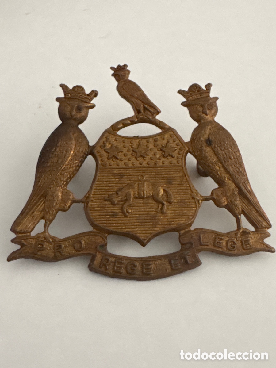 Medallas tem&aacute;ticas: Aguja emblema insignia gorra militar ( Inglaterra PRO ET REGE LEGE escarapela militar&iacute;a British )
