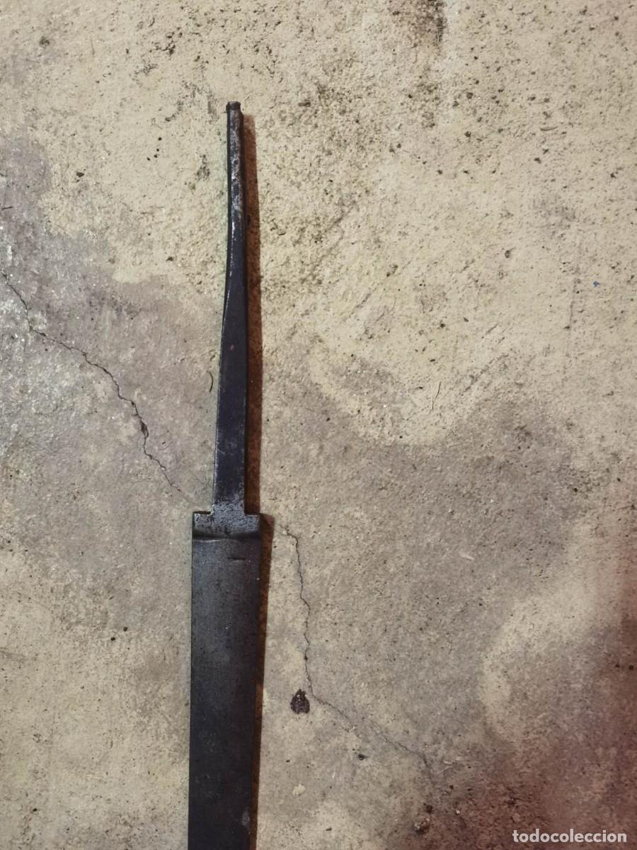 Militaria: hoja espada recta - Foto 3