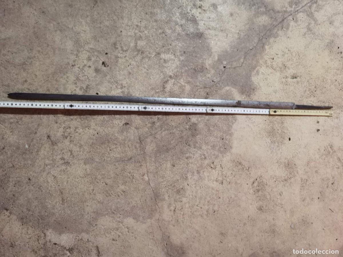 Militaria: hoja espada recta - Foto 4