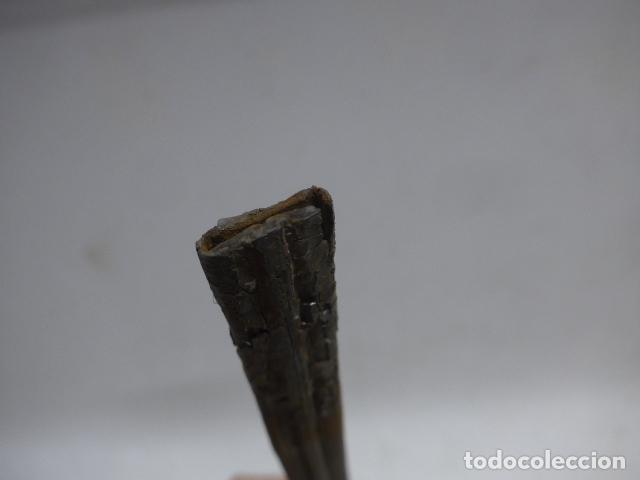 Militaria: Antigua funda de cuero de espada, original. - Foto 9