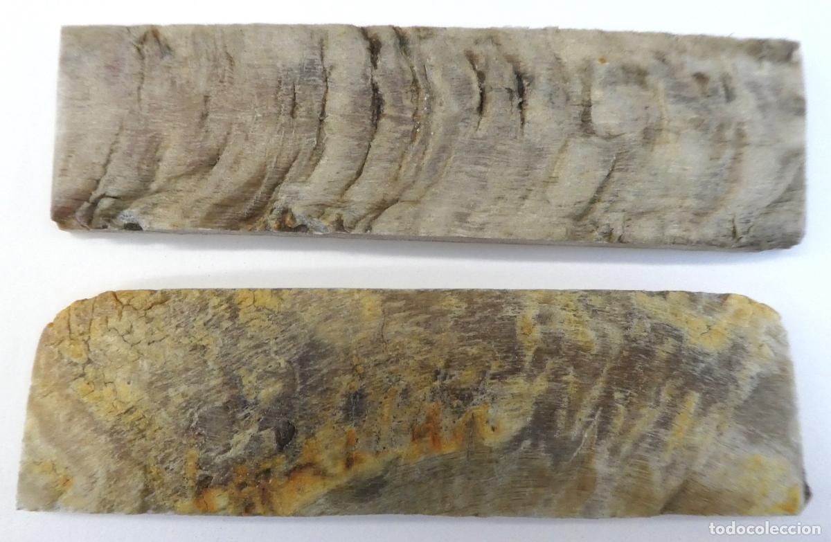 Militaria: Par de Carnero natural, miden 14X4 cm y 0,8 mm aprox. de grueso, peso 102 gr.