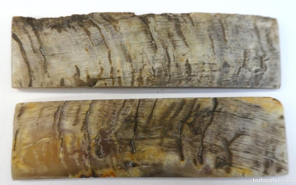 Militaria: Par de Carnero natural, miden 14X4 cm y 0,8 mm aprox. de grueso, peso 95 gr.