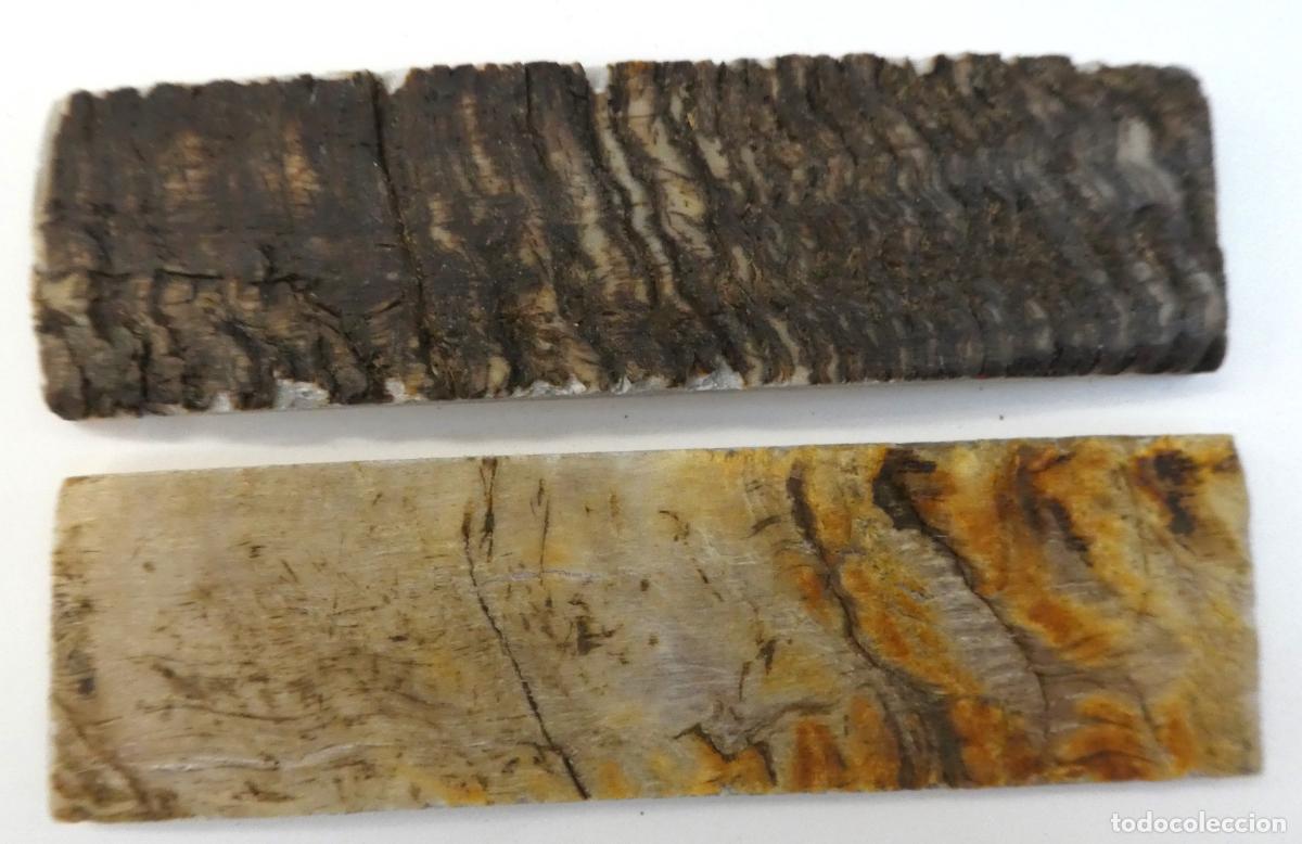 Militaria: Par de Carnero natural, miden 14X4 cm y 0,8 mm aprox. de grueso, peso 118 gr.
