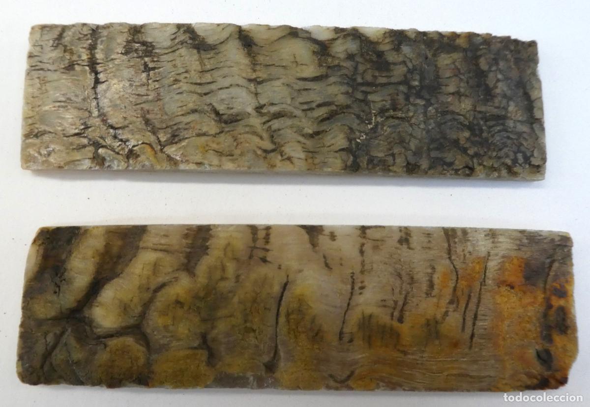 Militaria: Par de Carnero natural, miden 14X4 cm y 0,8 mm aprox. de grueso, peso 115 gr.