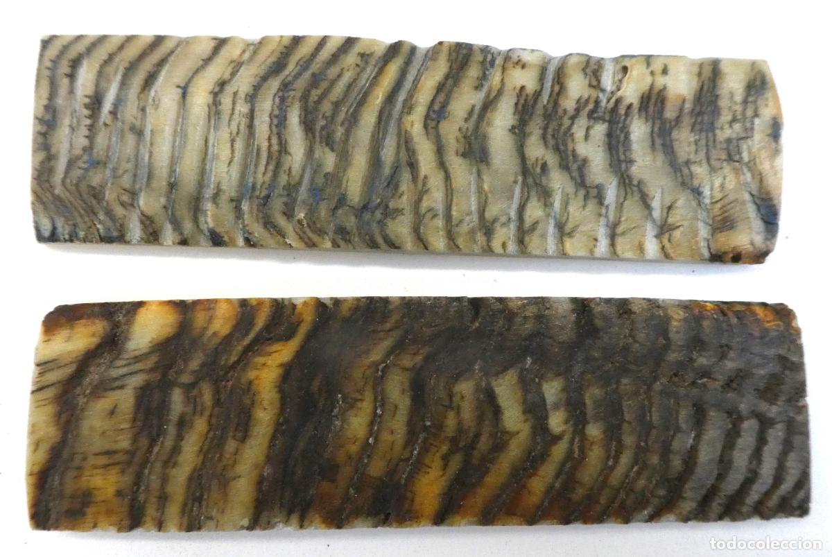 Militaria: Par de Carnero natural, miden 14X4 cm y 0,8 mm aprox. de grueso, peso 128 gr.