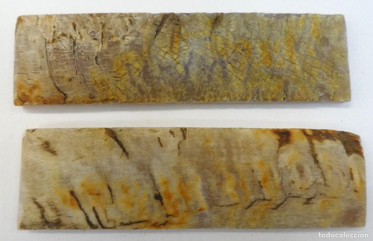 Militaria: Par de Carnero natural, miden 14X4 cm y 0,8 mm aprox. de grueso, peso 104 gr.