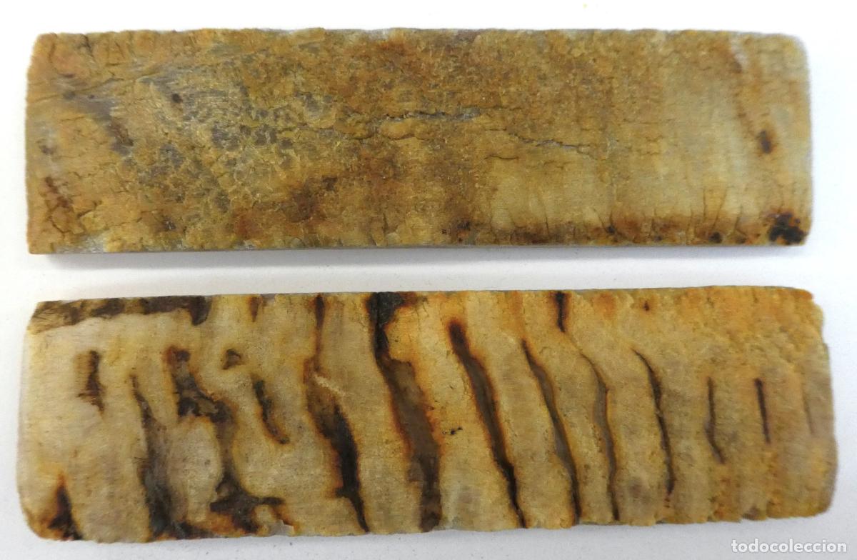 Militaria: Par de Carnero natural, miden 14X4 cm y 0,8 mm aprox. de grueso, peso 131 gr.