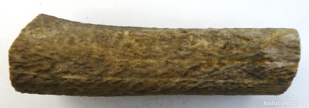 Militaria: Pu&ntilde;o de asta ciervo natural,mide 13X5 cm, peso 154 gr.,ideal para cachas de navajas ,cuchillos etc
