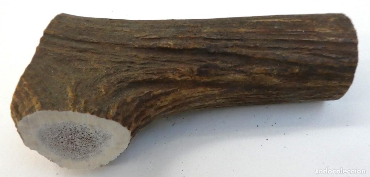 Militaria: Pu&ntilde;o de asta ciervo natural,mide 13X6 cm, peso 234 gr.,ideal para cachas de navajas ,cuchillos etc