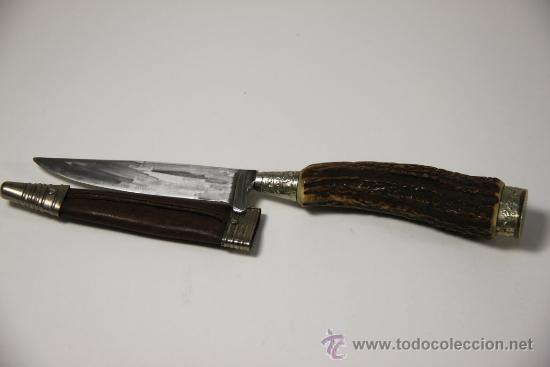 Militaria: Cuchillo de caza. Solingen - Foto 2